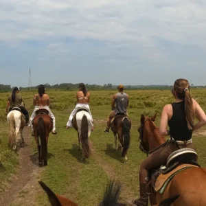 Passeio pela fazenda